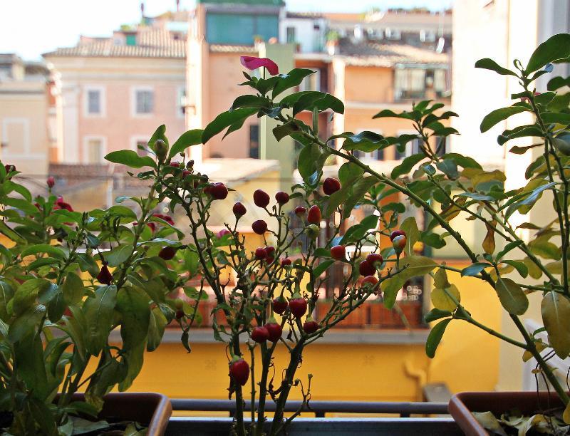 Maison d'hôtes Irooms Campo Dei Fiori Rome